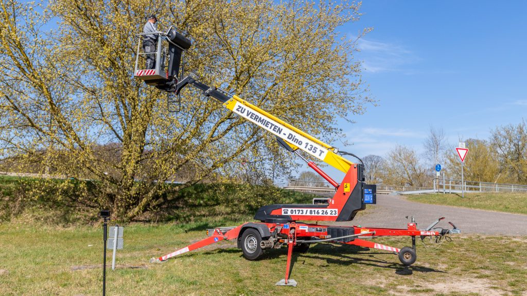 Dino 135T zu mieten